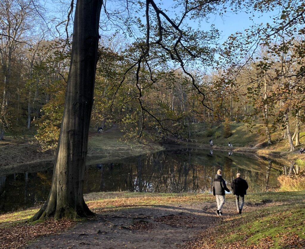 Elswout