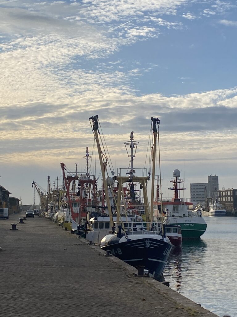 haven-van-ijmuiden