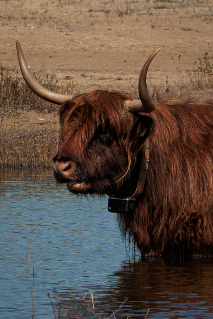 hooglanders-park-zuid-kennemerland