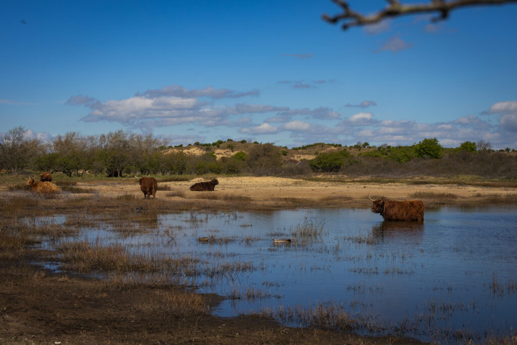 hooglanders-park-zuid-kennemerland