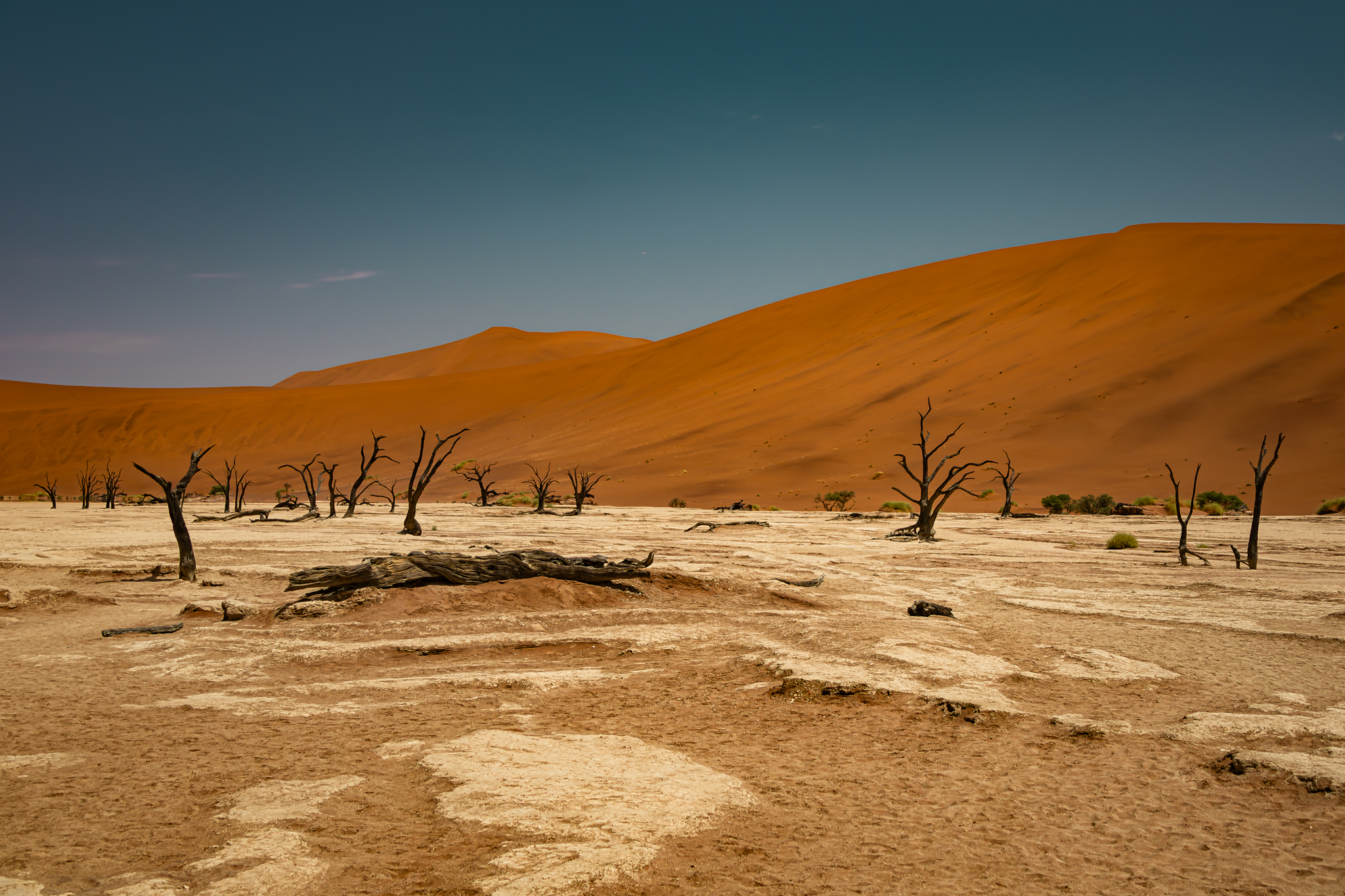 uitzicht-op-deadvlei