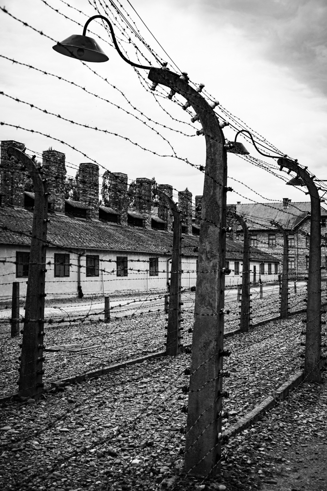 een-rondleiding-door-auschwitz-met-dutch-krakau-point